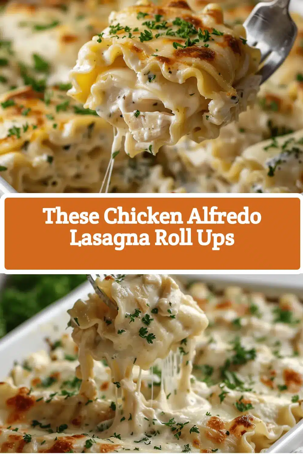Chicken Alfredo Lasagna Roll Ups recipe